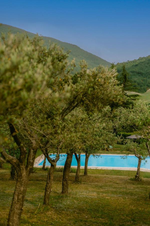 Tenuta Delle Rose - Country House Piane Exterior foto